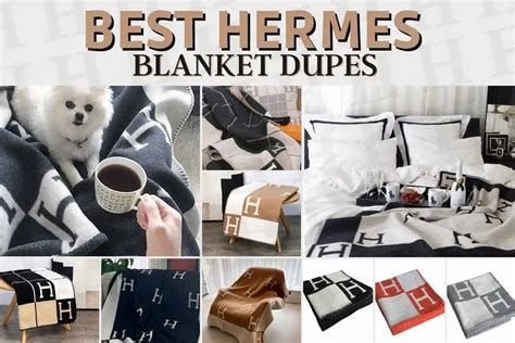 budget Hermes blanket dupe